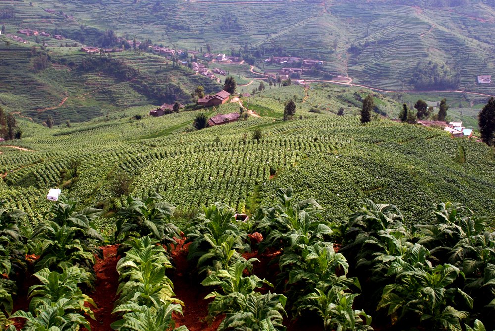 ���|��������